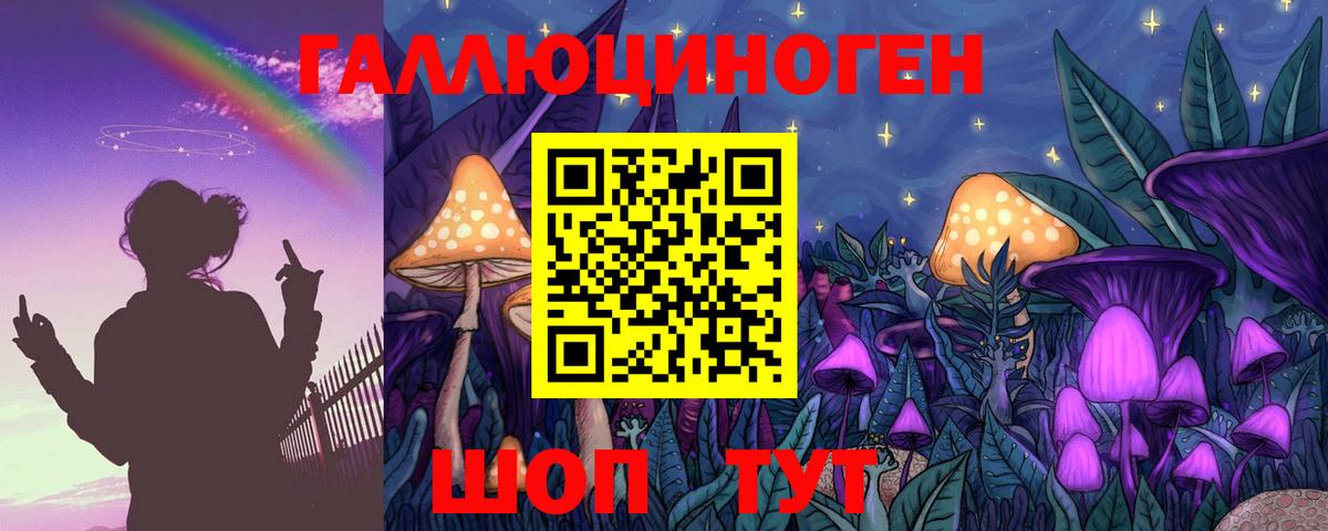 Галлюциногенные грибы Cubensis  Вход с VPN  Реж 